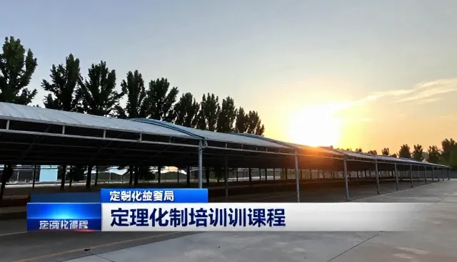 定制化课程如何在性能优化中实现灵活适配